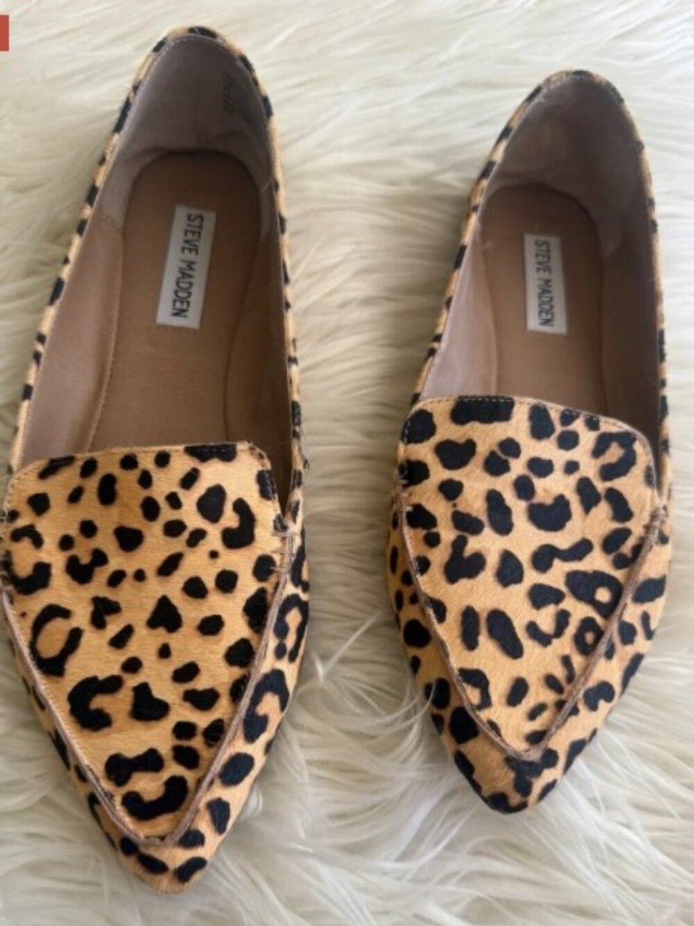 Steve Madden Leopard-Print Pointed Flats in Tan and Black 8.5